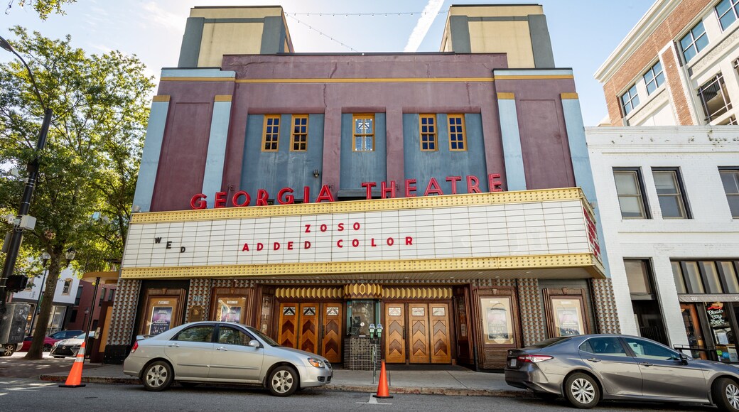 The Georgia Theatre