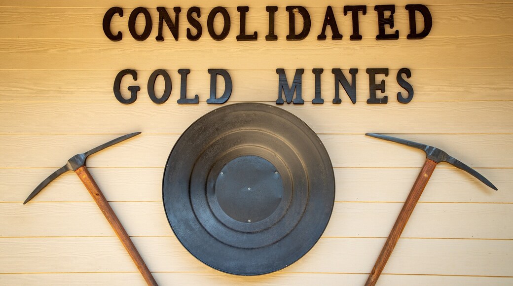 Consolidated Gold Mine