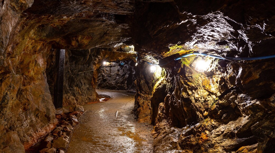 Consolidated Gold Mine