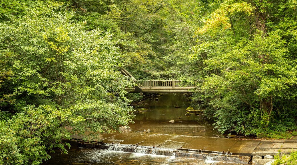 Smithgall Woods State Park