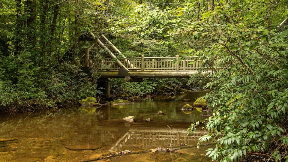 A wooden bridge over a calm river surrounded by dense greenery.
