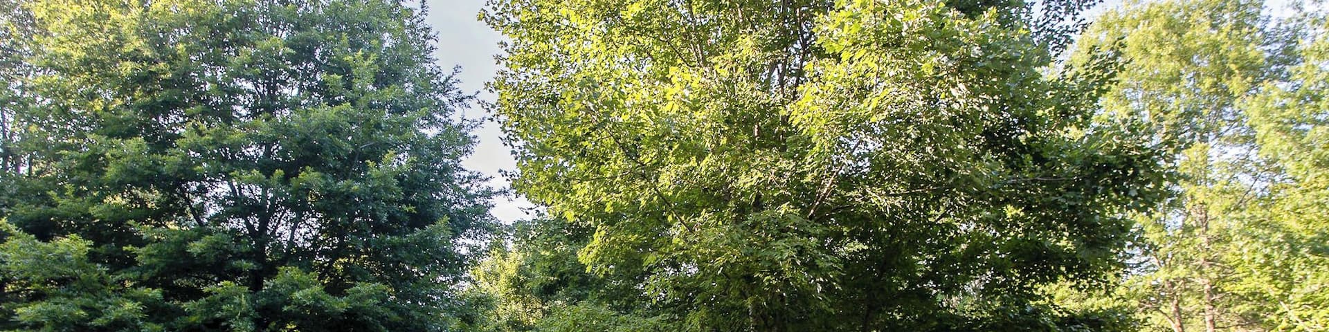 Helen_UnicoiHillPark_553248621532656547-2