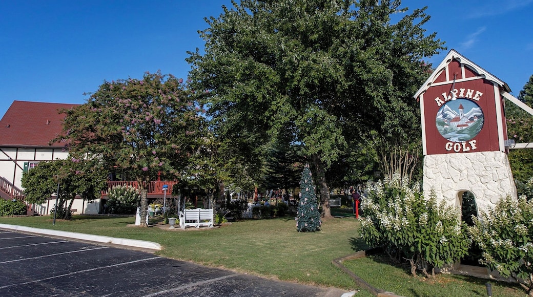 Alpine Mini Golf