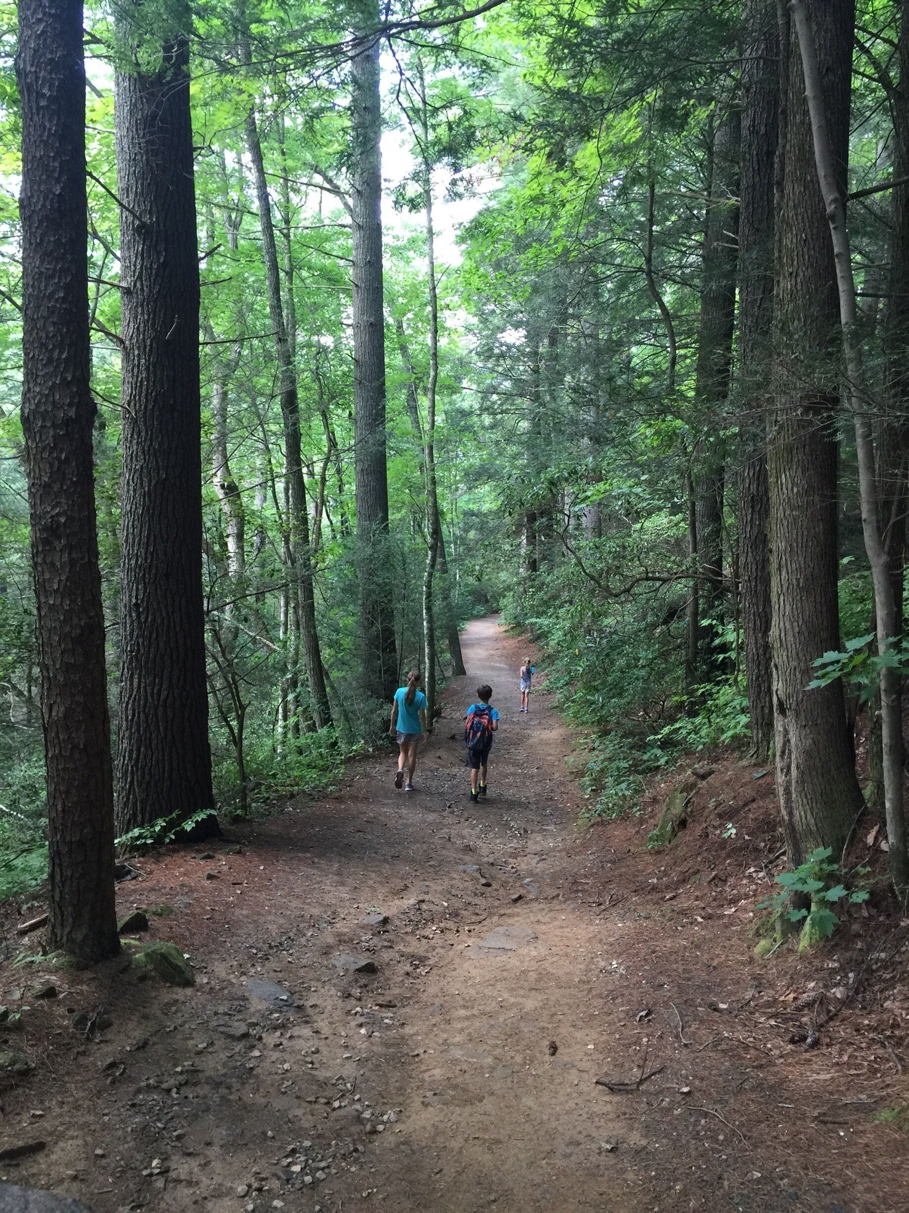 Duke's Creek Falls
To discovery more about this location, including directions and planning ideas visit our blog: 
http://frugalfamilytravelers.blogspot.com/2016/09/3-amazing-spots-in-ga.html