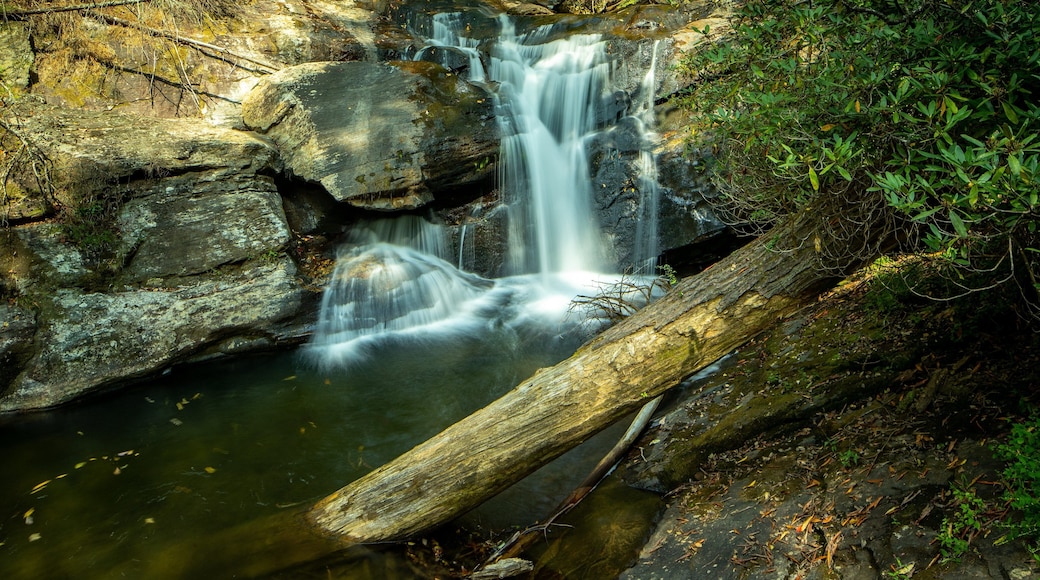Dukes Creek Falls Trail which includes a river or creek