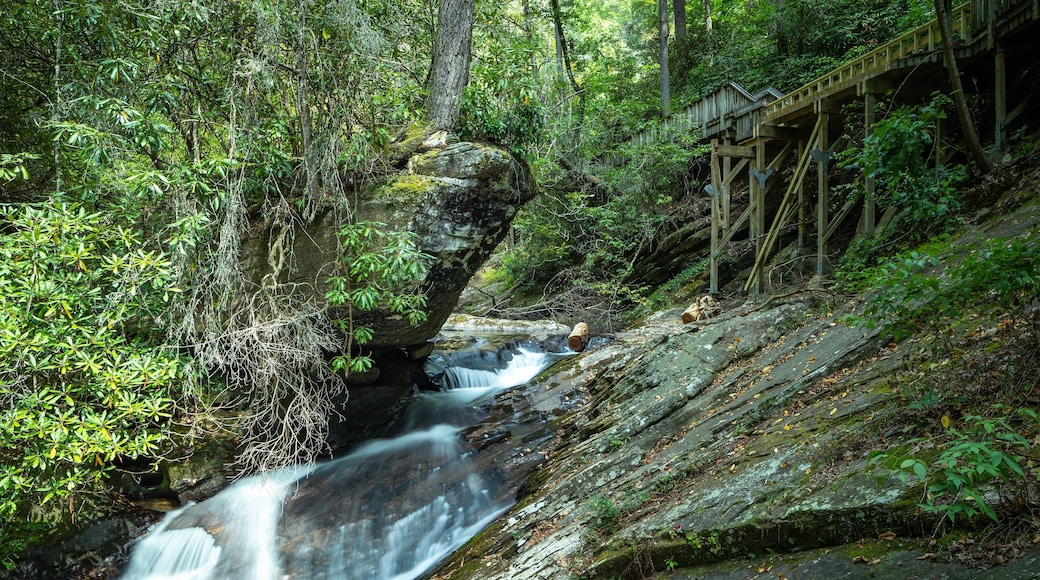 Dukes Creek Falls Trail