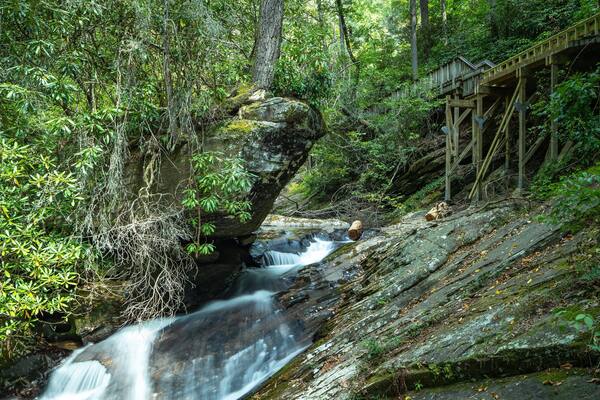 Dukes Creek Falls Trail