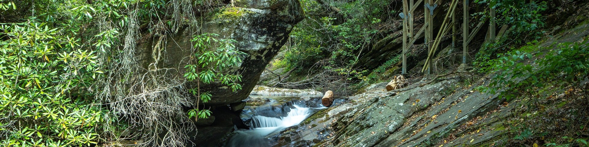 Dukes Creek Falls Trail