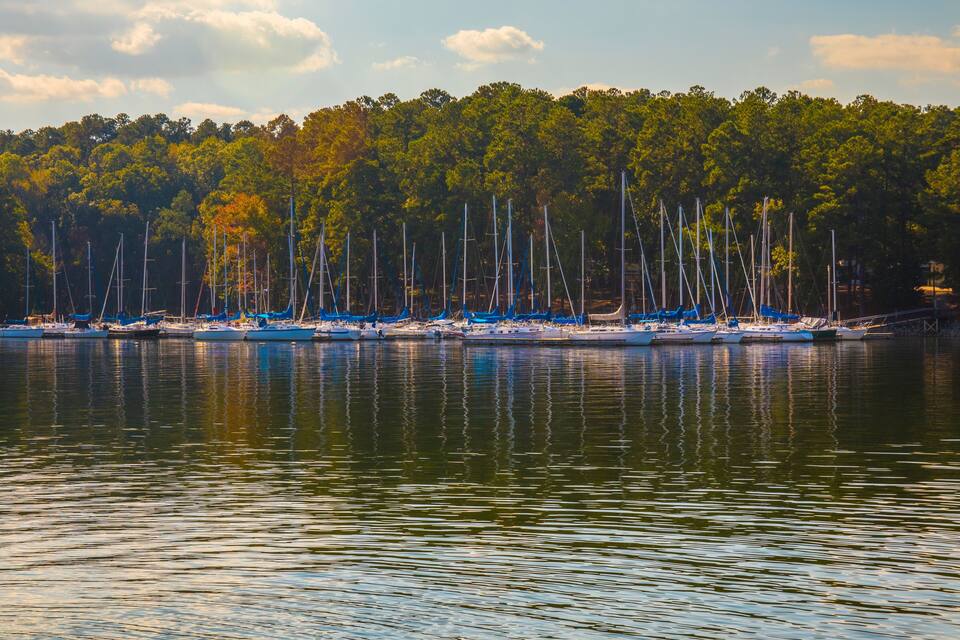 A calm lake with numerous sailboats docked along the shore, surrounded by dense trees.