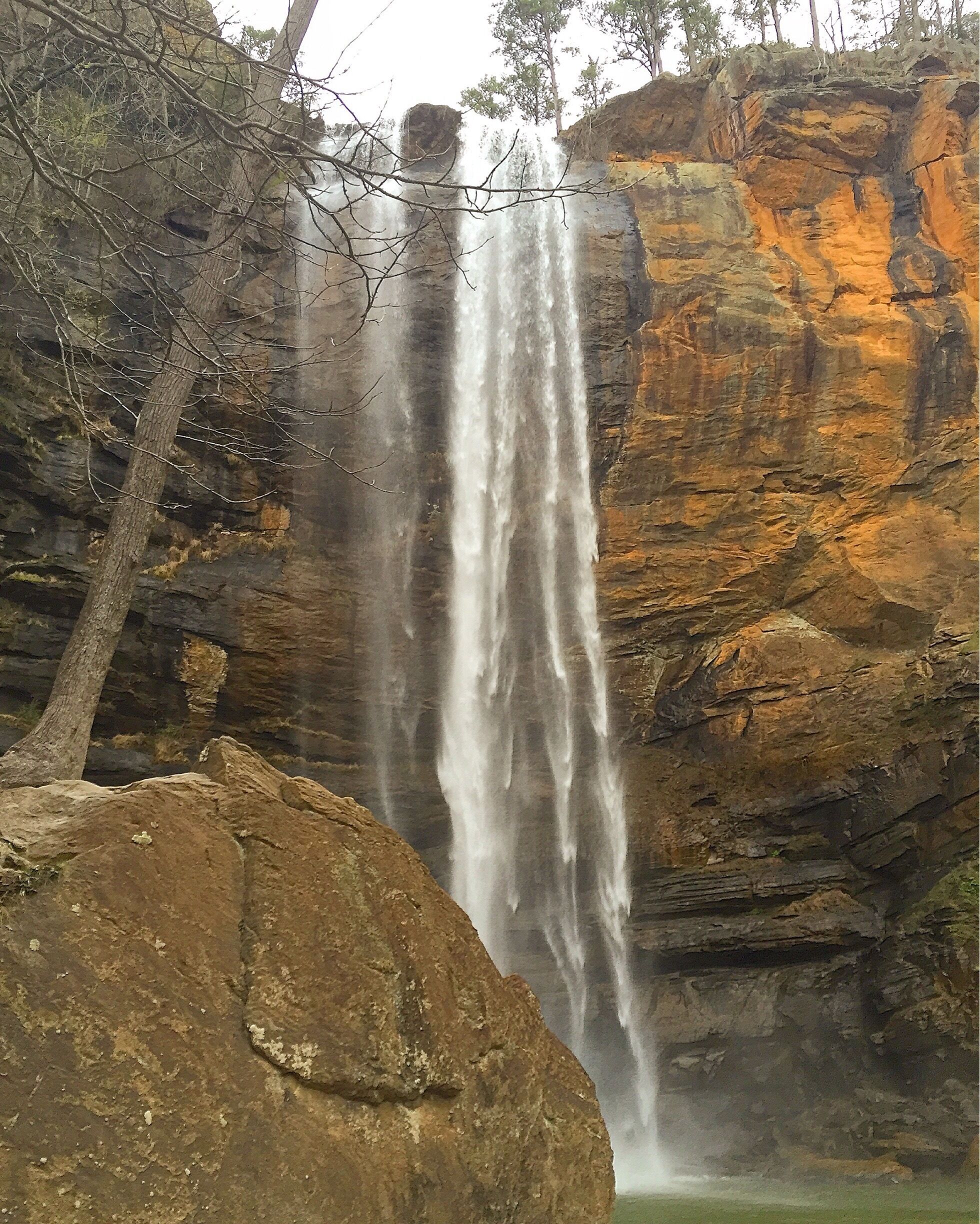 Hidden treasure in northeast Georgia 