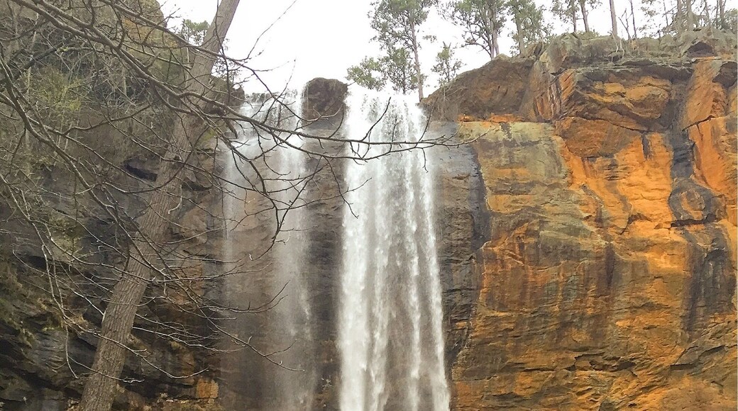 Hidden treasure in northeast Georgia