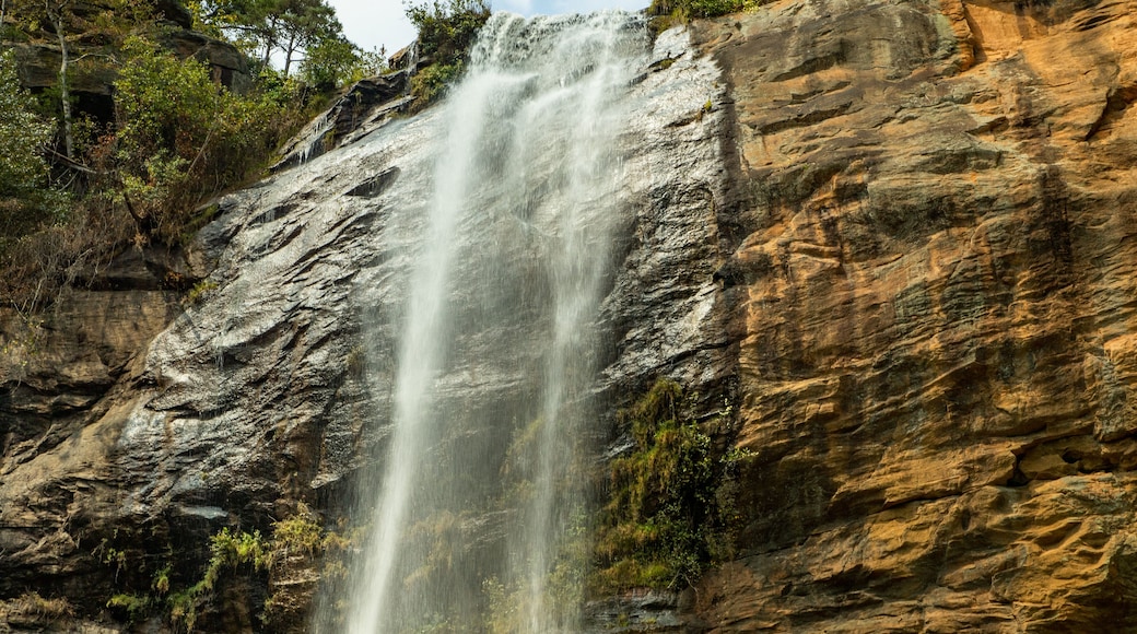 Toccoa Falls