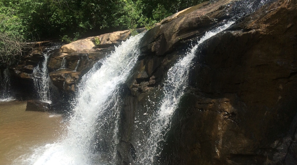 You can "hike the pipe" (an old, rusty water pipe) to little falls in Toccoa and it's a fun, and beautiful hike which leads to this pretty falls.