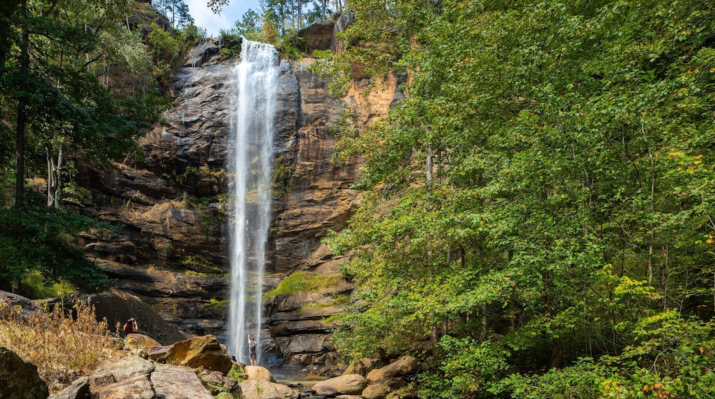 Toccoa Falls