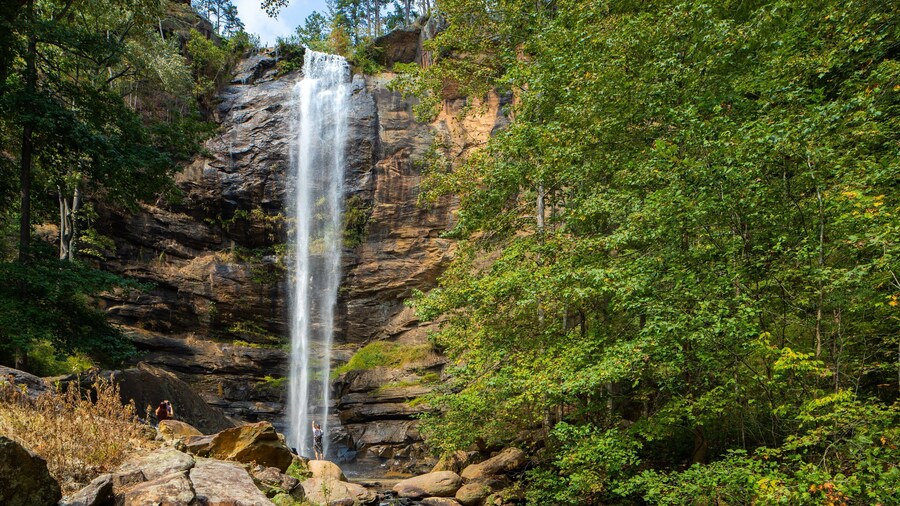 Toccoa Falls
