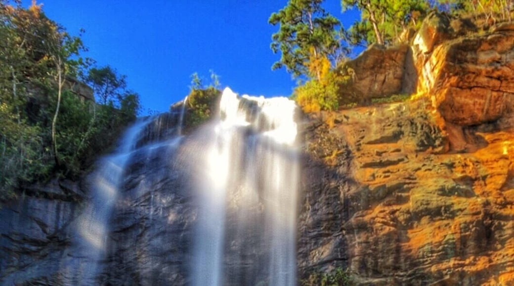 On the campus of Toccoa Falls College is this waterfall. What a place to study/read/relax! We discovered this spot in north Georgia on a #roadtrip up I-85.