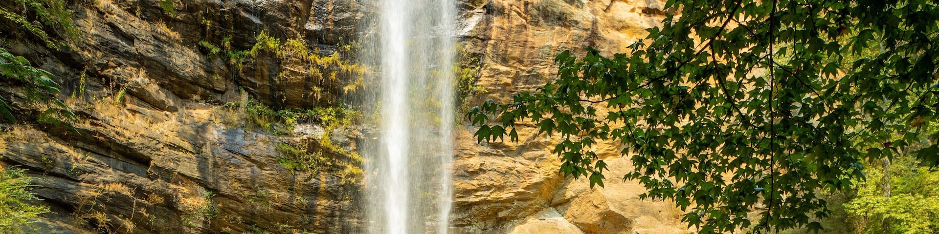 Toccoa Falls which includes religious elements and a waterfall as well as an individual male