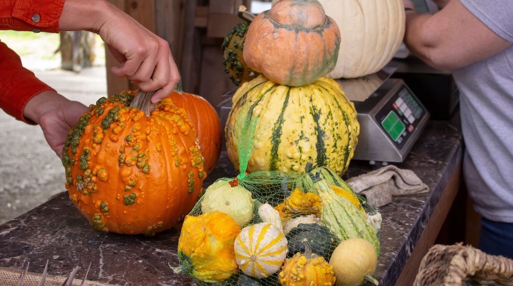 Cashiers Farmers Market