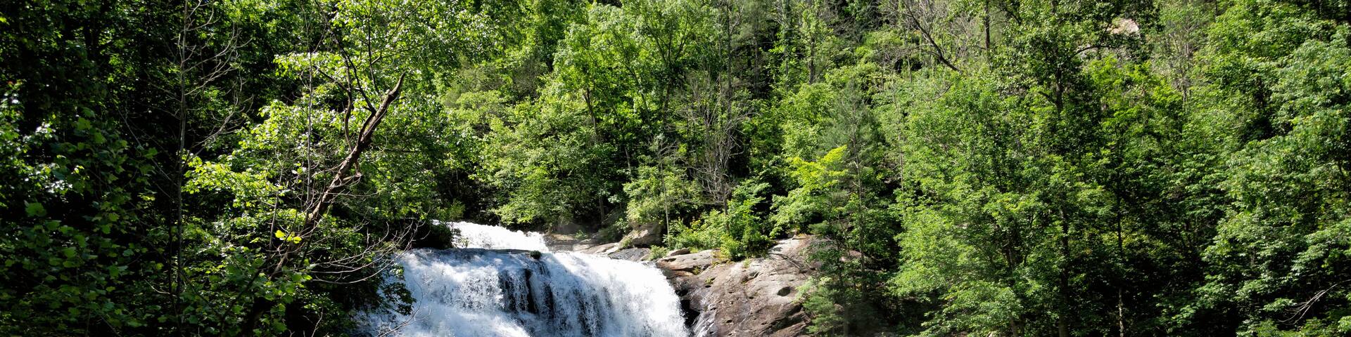 waterfall in forest