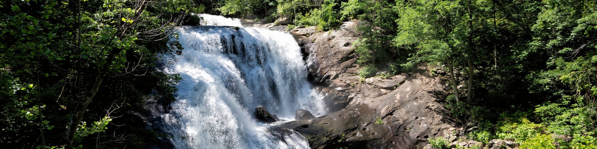 waterfall in forest