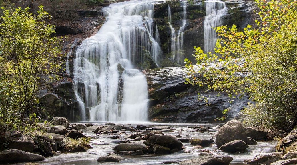 bald river falls in autumn
