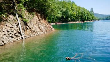 Clear green hue water