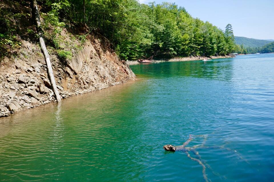 A calm river with clear water, surrounded by dense green forest and rocky terrain.