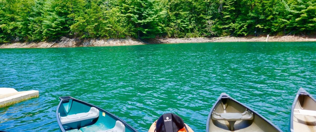 A row of canoes docked at a calm lake with a dense forest in the background.