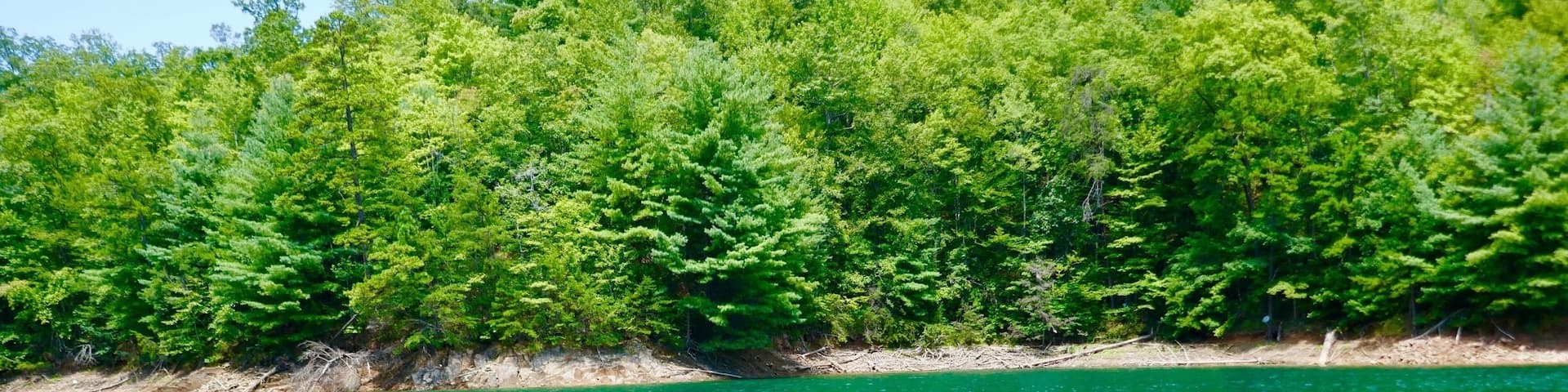 A row of canoes docked at a calm lake with a dense forest in the background.