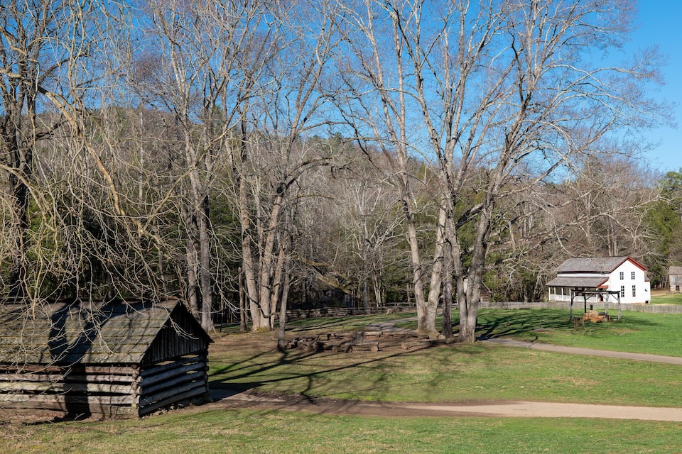 A rustic log cabin, a white house, and a dense forest.