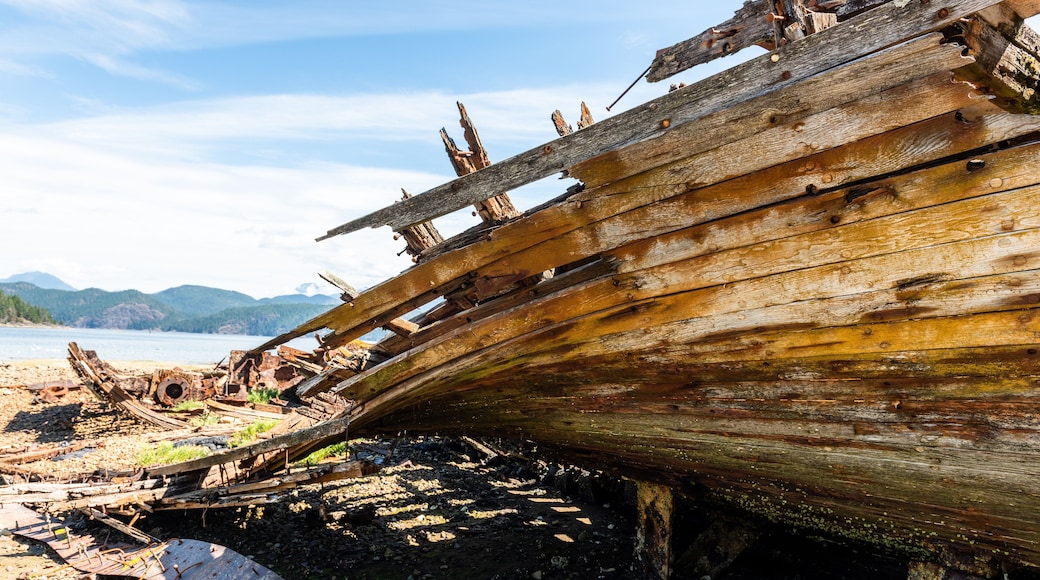 Detail of shipwreck in Squirrel Cove, Cortes Island, British Columbia, Canada