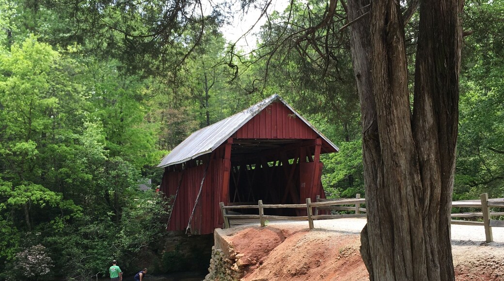 Really sweet bridge. I'm always on the lookout for some on my travels.
