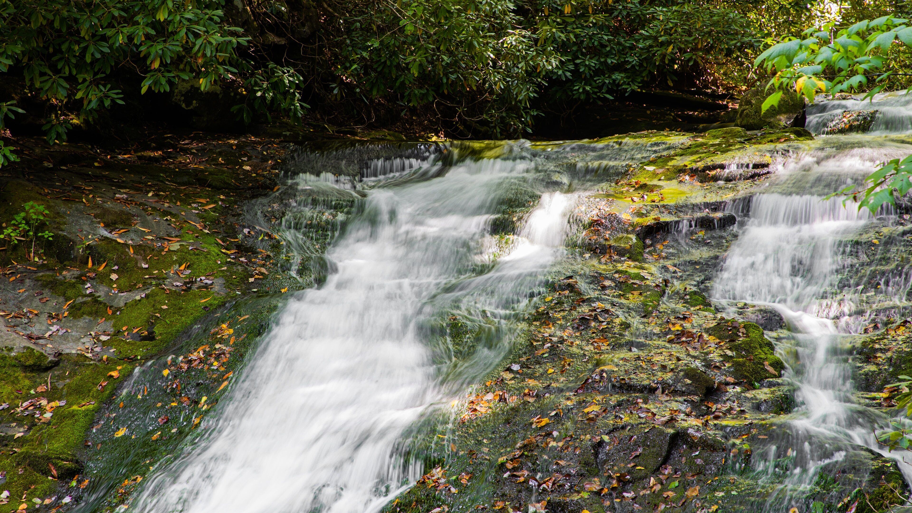 Indian Creek Falls showing a river or creek
