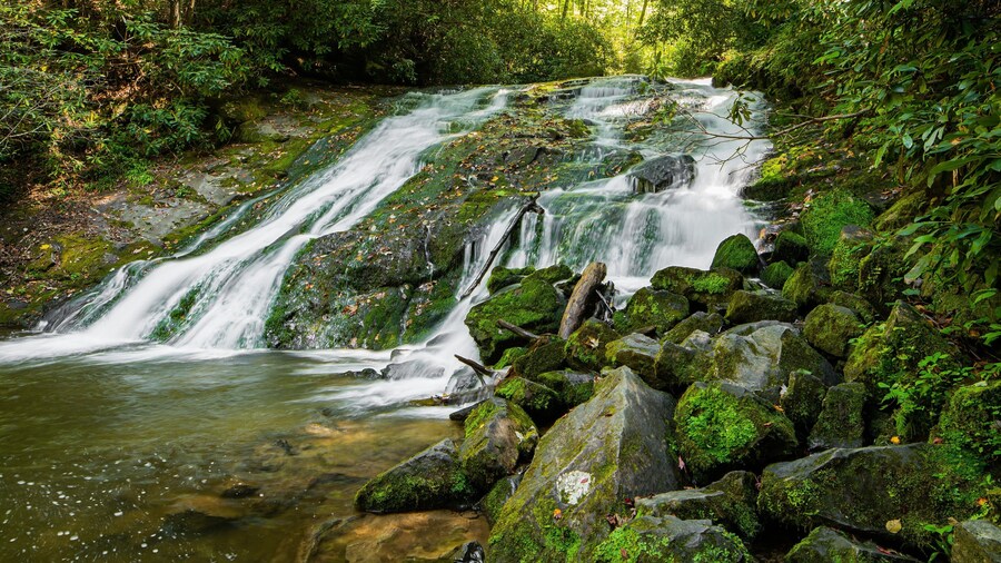 Indian Creek Falls featuring a river or creek