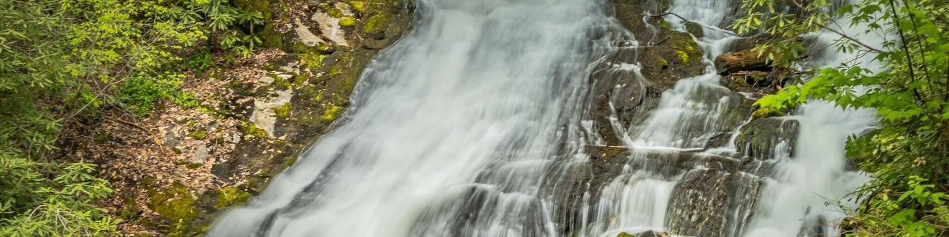 Una cascada que se precipita sobre rocas en un área boscosa.