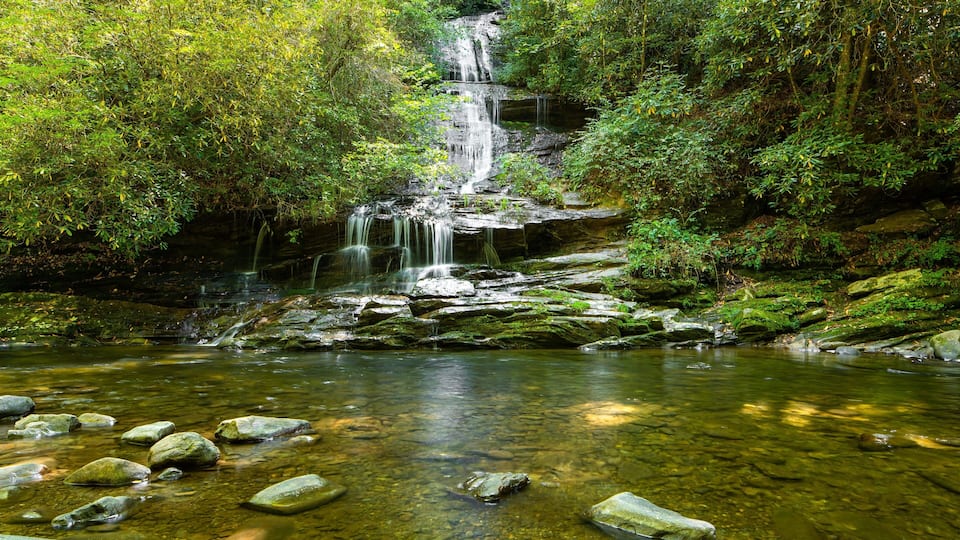 A waterfall cascading over rocks into a clear stream surrounded by lush greenery.