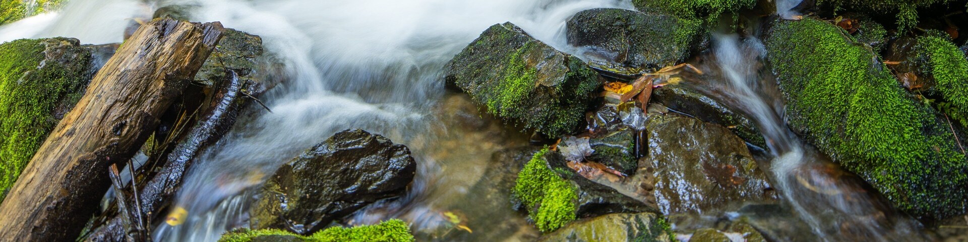 Indian Creek Falls which includes a river or creek