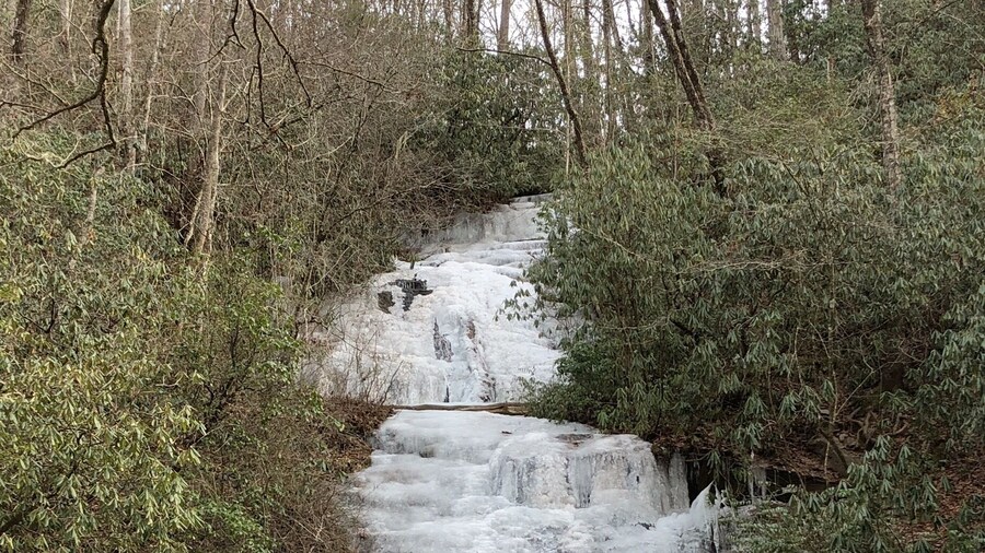 Great Falls. Short hike.