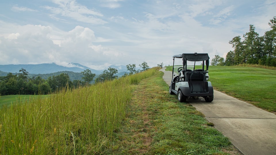 A golf cart on a paved path with a grassy field and trees on one side and mountains in the distance.