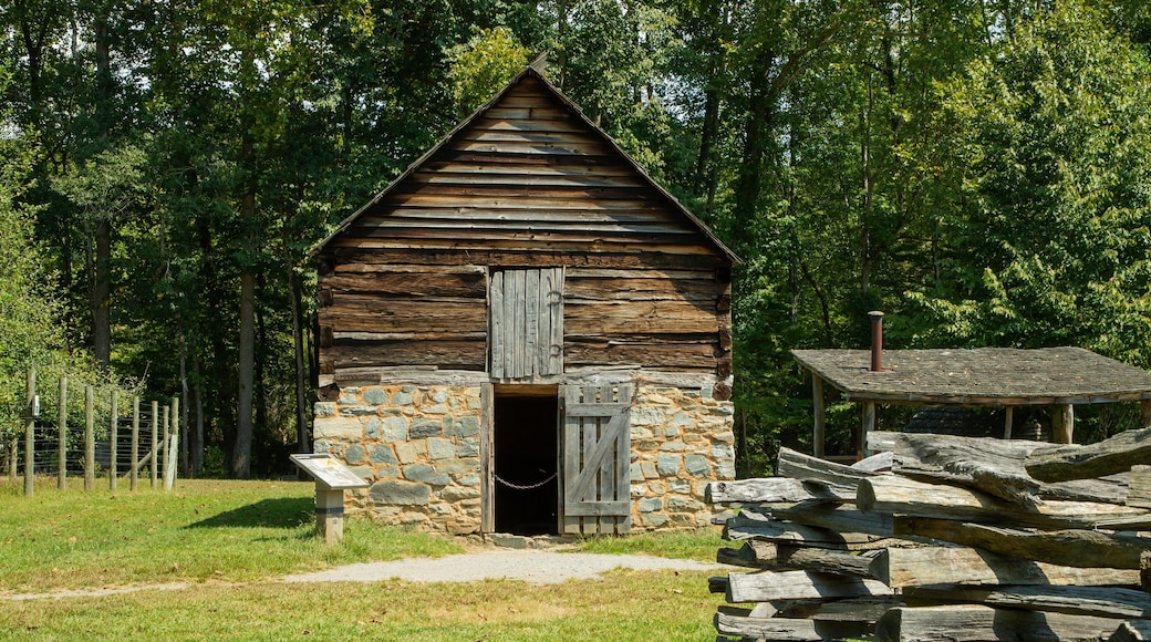 Mountain Farm Museum which includes heritage elements and a house