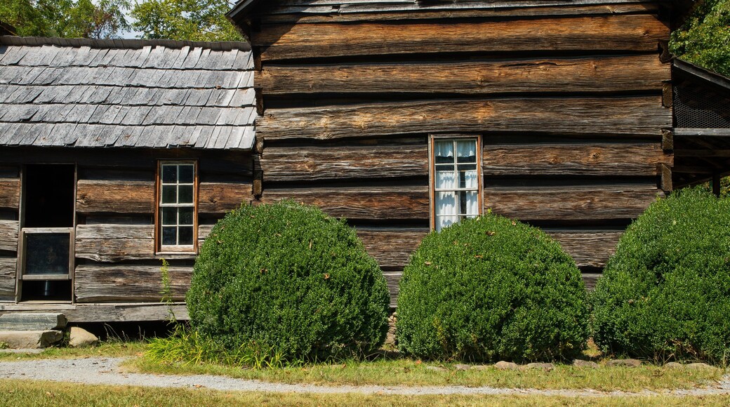 Mountain Farm Museum featuring a house and heritage elements