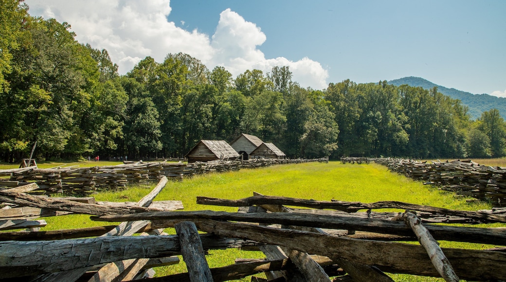 Mountain Farm Museum featuring a small town or village