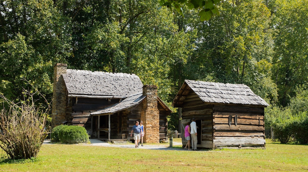 Mountain Farm Museum featuring a small town or village and heritage elements as well as a small group of people