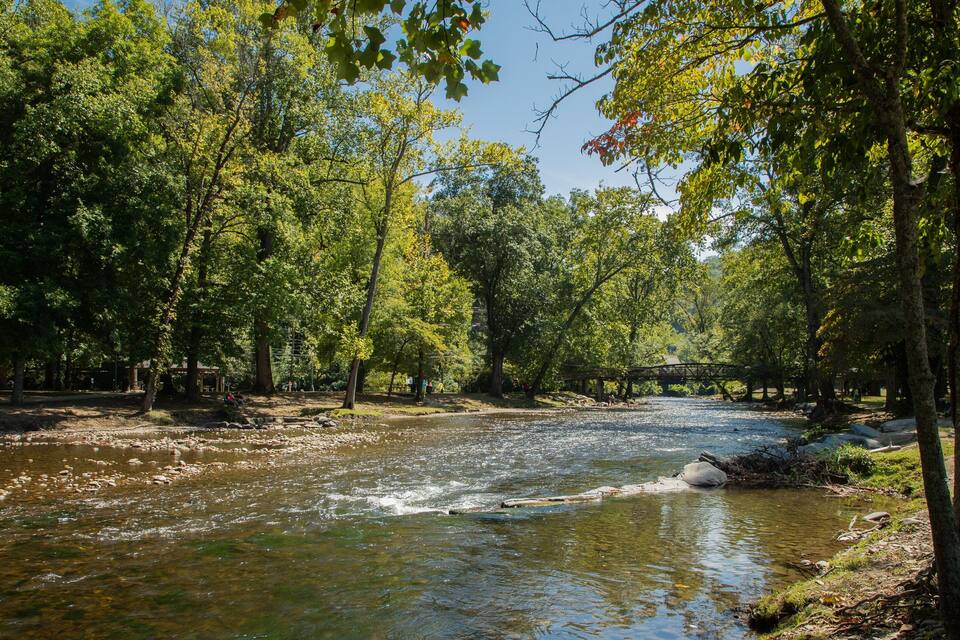A river flowing through a forest with a wooden bridge.