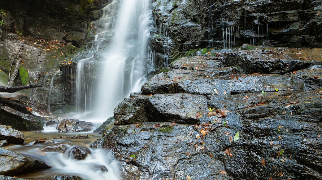 Soco Falls showing a waterfall