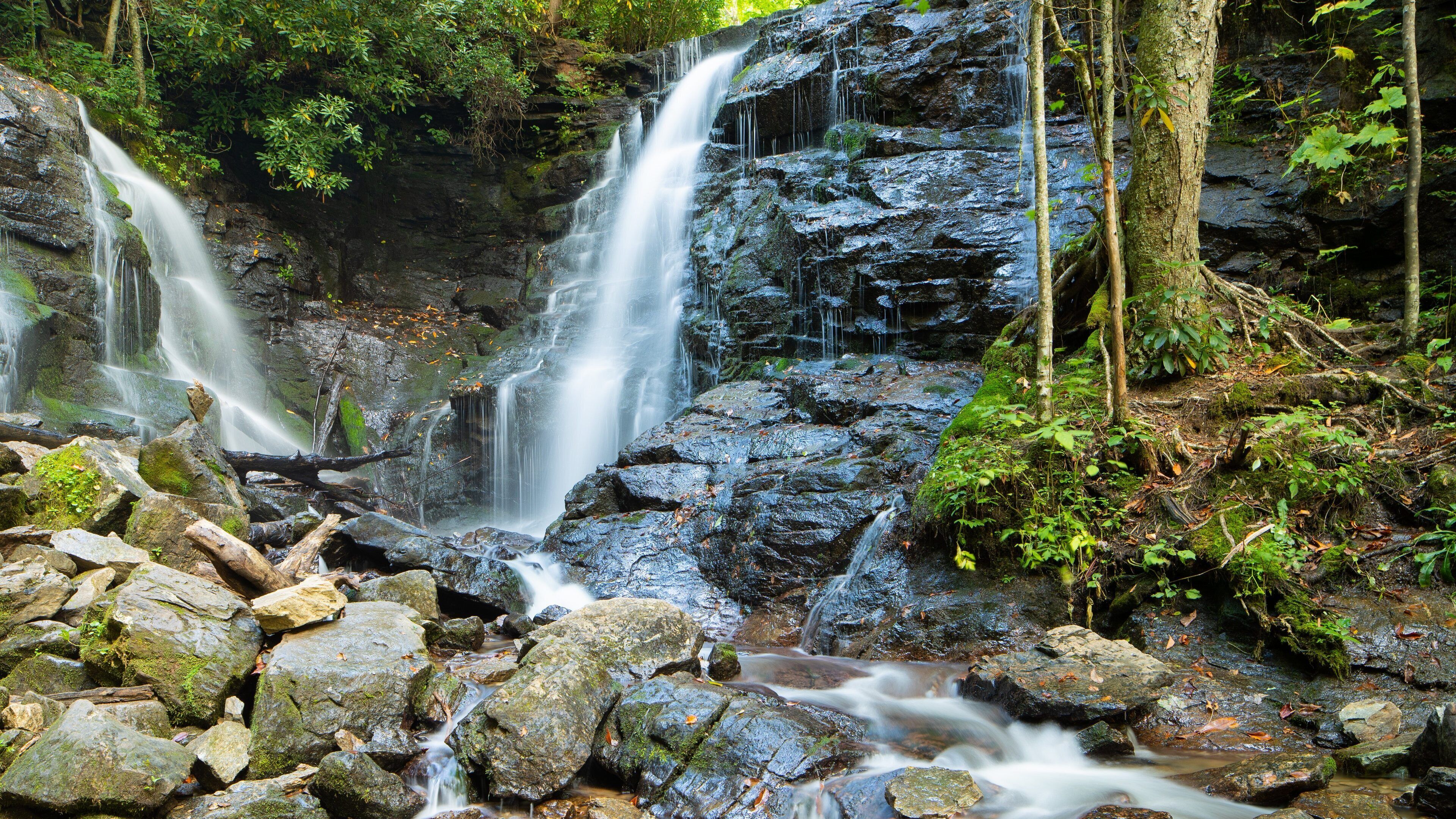 Soco Falls which includes a waterfall