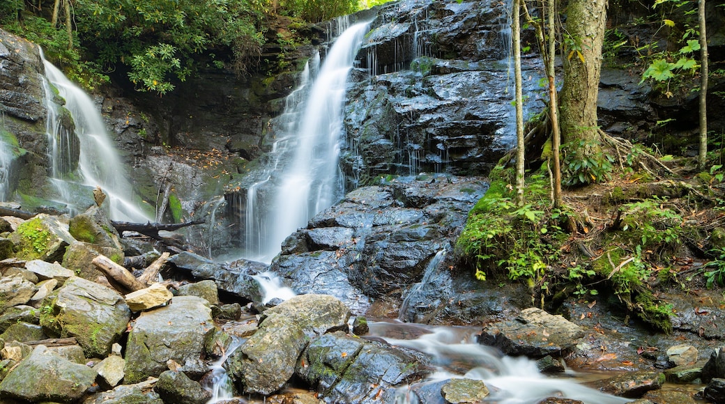 Soco Falls which includes a waterfall