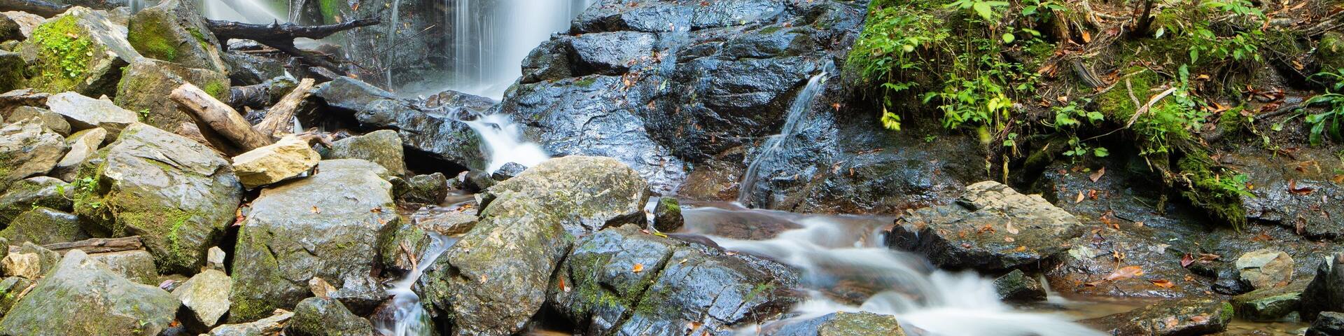 A waterfall cascading over rocks in a forested area.