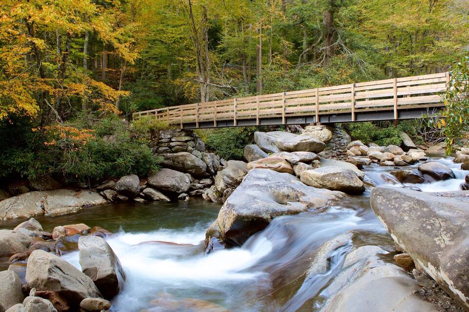 A wooden bridge over a rocky stream in a forested area.