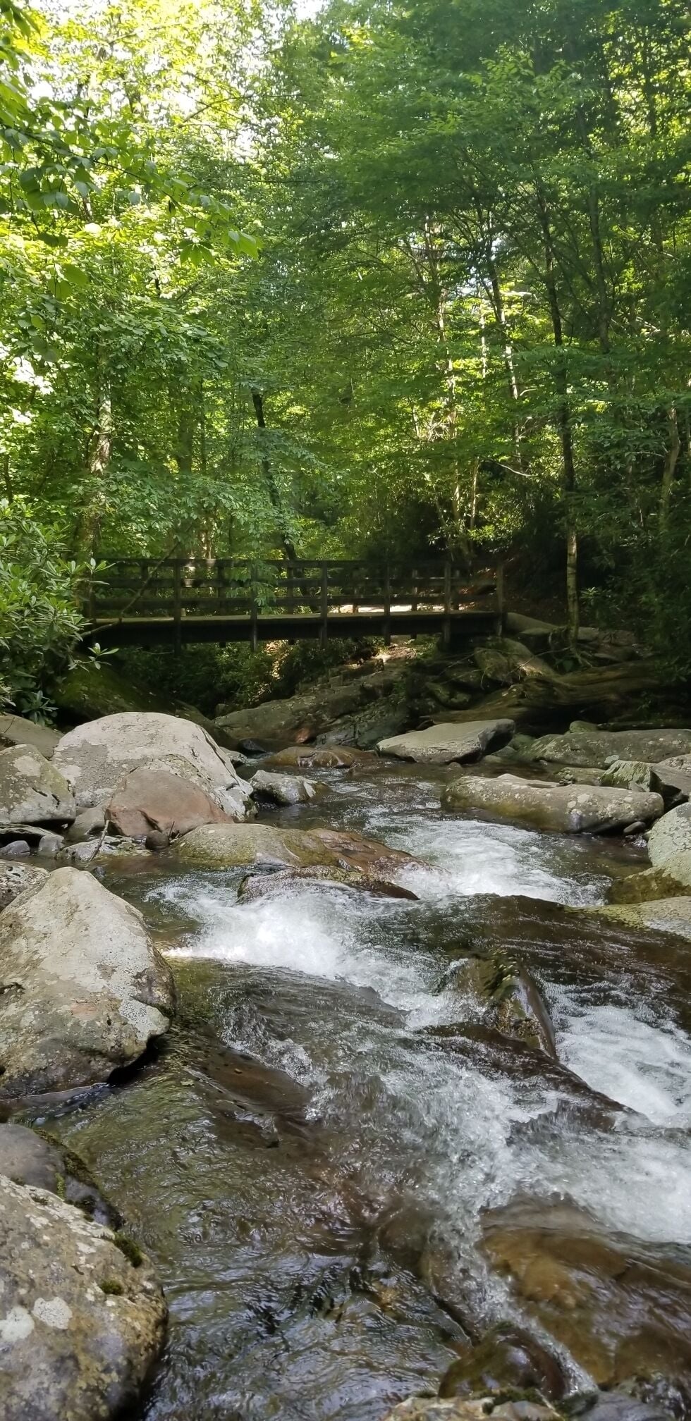 One of the pretty creekview's on the trail
